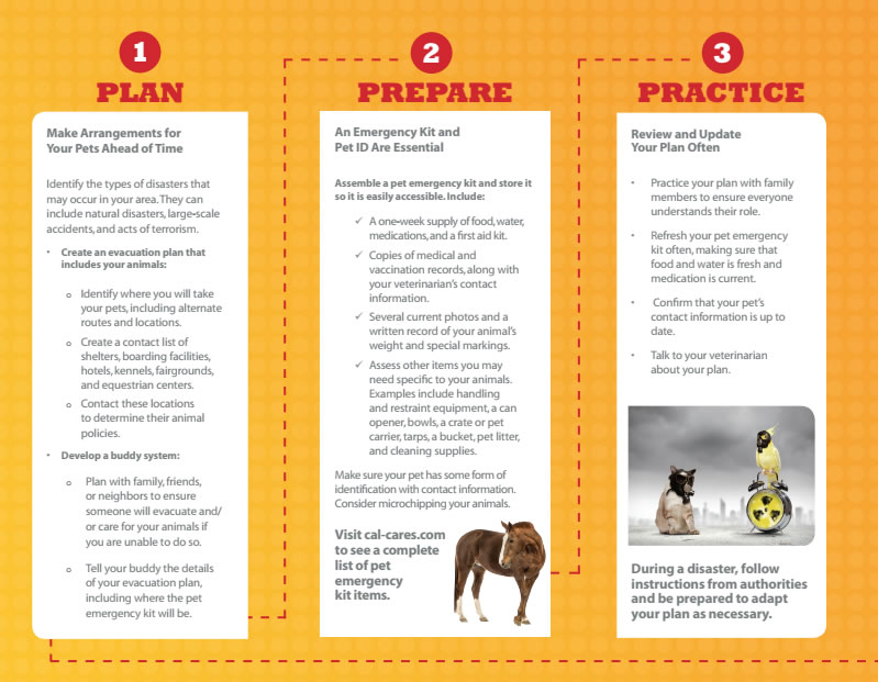 Click to read Emergency Preparedness for Pet Owners